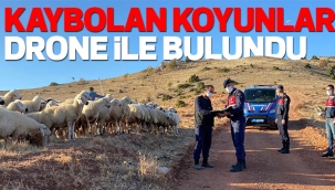 KAYBOLAN KOYUNLAR DRONE İLE BULUNDU