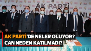 CAN NEDEN KATILMADI?