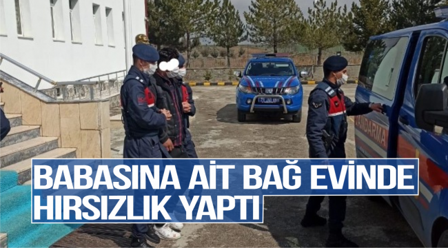 Babasının Bağ evini soydu