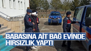Babasının Bağ evini soydu