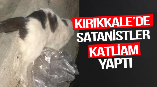 KIRIKKALE'DE SATANİSTLER KATLİAM YAPTI