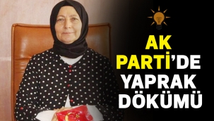 AK PARTİ'DE YAPRAK DÖKÜMÜ