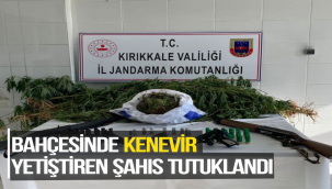 BAHÇESİNDE KENEVİR YETİŞTİREN ŞAHIS TUTUKLANDI