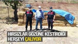 HIRSIZLAR GÖZÜNE KESTİRDİĞİ HERŞEYİ ÇALIYOR