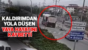 Kaldırımdan yola düşen yayaya hayatını kaybetti