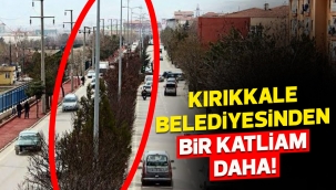 KIRIKKALE BELEDİYESİNDEN BİR KATLİAM DAHA!