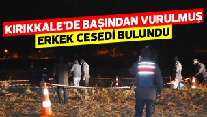 Kırıkkale'de başından vurulmuş erkek cesedi bulundu