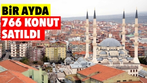 Bir ayda 766 konut satıldı