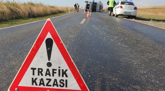 Kütük yüklü tır devrildi
