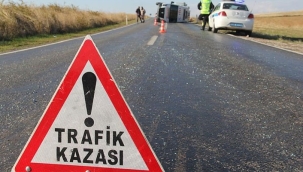 Kütük yüklü tır devrildi