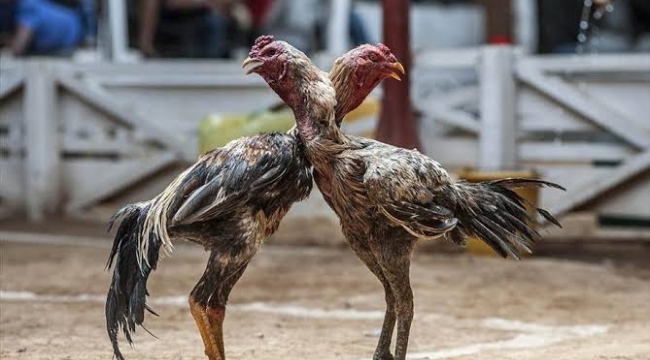 150 Kişi Suçüstünde Yakalandı