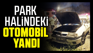 Park halindeki otomobil yandı