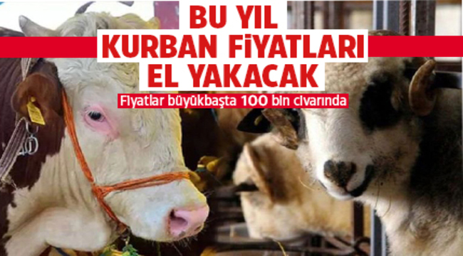 Bu yıl kurban fiyatları el yakacak