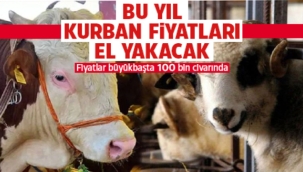 Bu yıl kurban fiyatları el yakacak