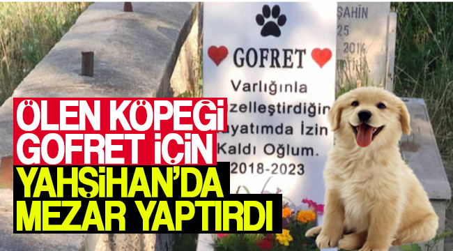 Ölen köpeği Gofret için mezar yaptırdı