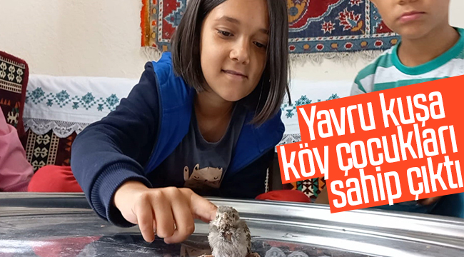 Yavru kuşa ''köy çocukları'' sahip çıktı.