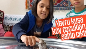 Yavru kuşa ''köy çocukları'' sahip çıktı.
