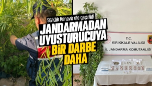 Jandarmadan uyuşturucuya bir darbe daha
