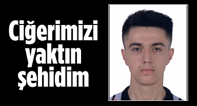 Ciğerimizi yaktın şehidim