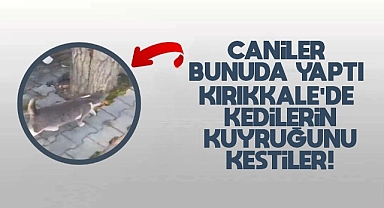 Kırıkkale'de caniler bunuda yaptı
