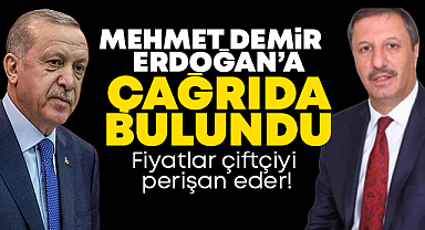 Mehmet Demir, Erdoğan'a çağrıda bulundu