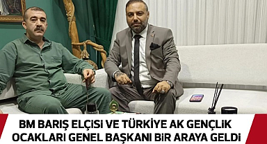 Türkiye Ak Gençlik Ocakları Genel Başkanı ve Birleşmiş Milletler Barış Elçisi Bir Araya Geldi (TEKZİP)