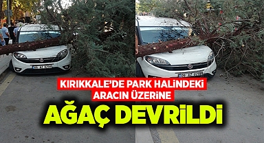 Kırıkkale'de park halindeki aracın üzerine ağaç devrildi