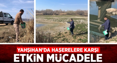 Yahşihan'da haşerelere karşı etkin mücadele