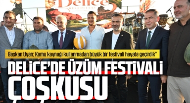Delice'de üzüm festivali çoşkusu