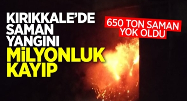 Kırıkkale'de saman yangını milyonluk kayıp