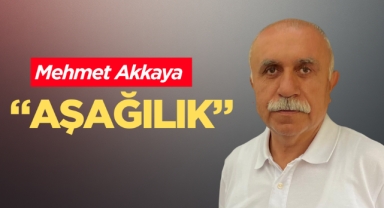 Aşağılık
