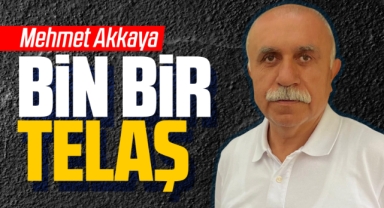 Bin bir telaş