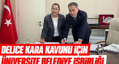 Delice Kara Kavunu İçin Üniversite–Belediye İş Birliği