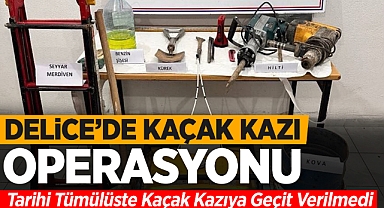 Delice'de kaçak kazı operasyonu