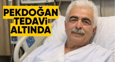 Pekdoğan tedavi altında