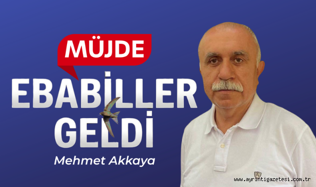 Müjde ebabiller geldi 