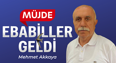 Müjde ebabiller geldi
