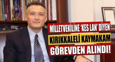 Milletvekiline 