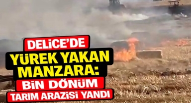 Delice’de Yürek Yakan Manzara: Bin Dönüm Tarım Arazisi Yandı