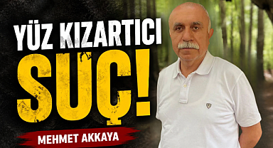 Yüz kızartıcı suç