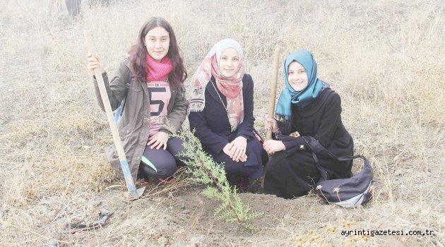 300 fidan toprakla buluştu
