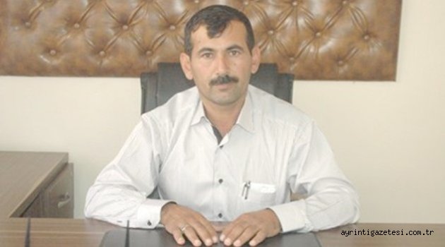 Ağaçlarınızı dona karşı koruyun