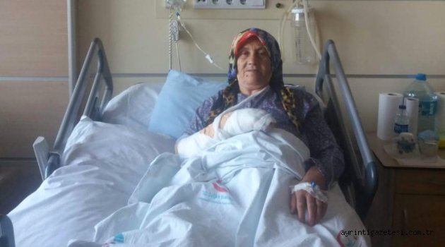 MAGANDA KURŞUNUYLA ELİNDEN YARALANDI