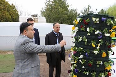 Mevsimlik çiçekler üretiliyor