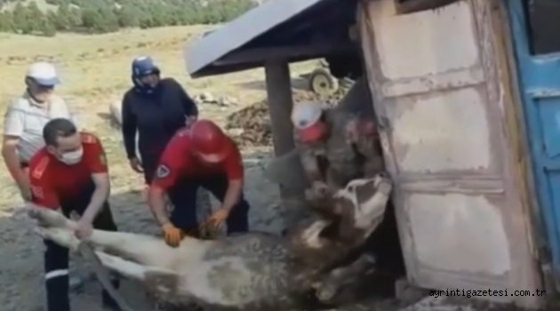 'SARI KIZ’I İTFAİYE KURTARDI