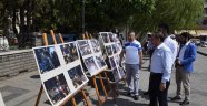 15 Temmuz milli iradenin yükselişi