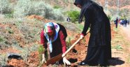 3 bin fidan toprakla buluştu