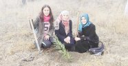 300 fidan toprakla buluştu