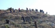 Çullu’da fidan dikimi