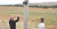 Yaban kedisi görüntülendi